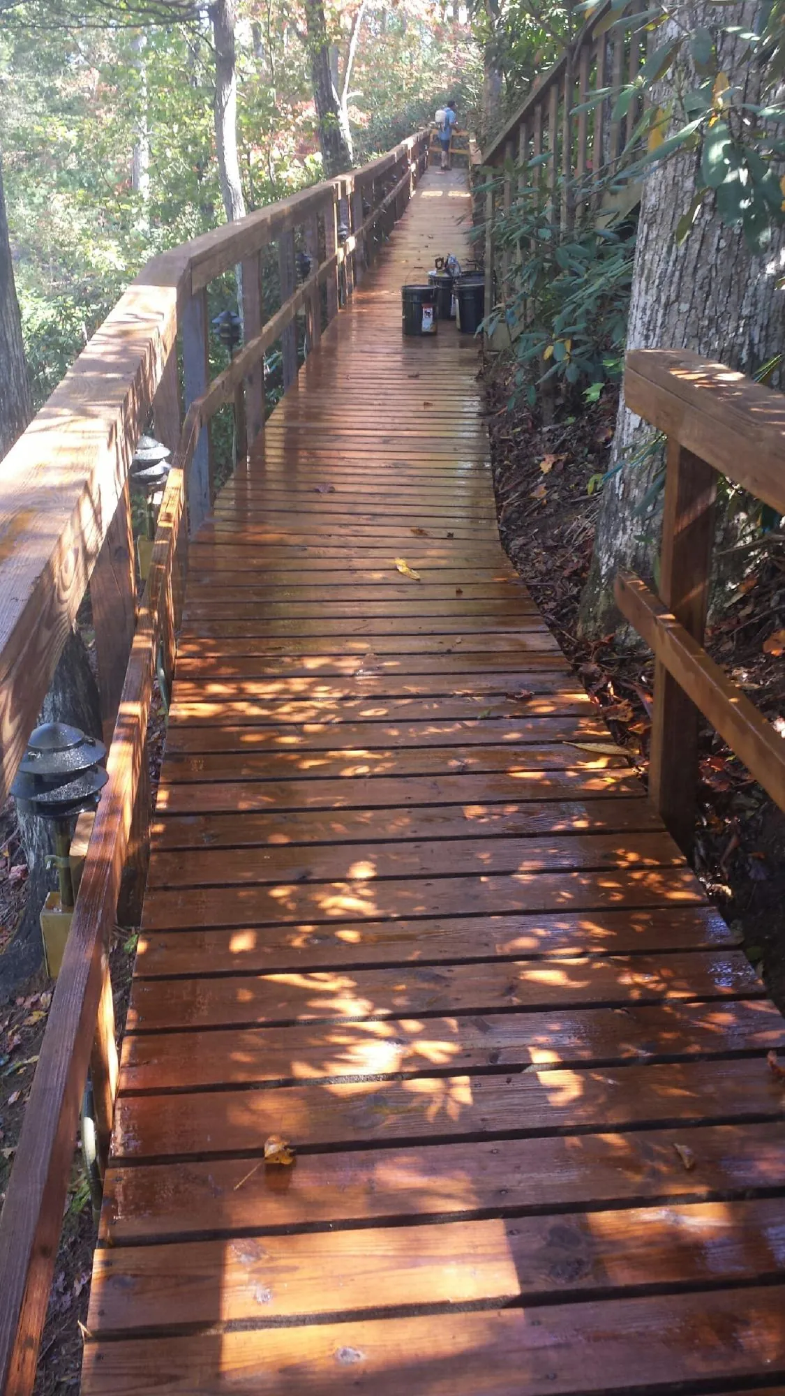 Freshly stained wood walkway winding through the woods in College Station